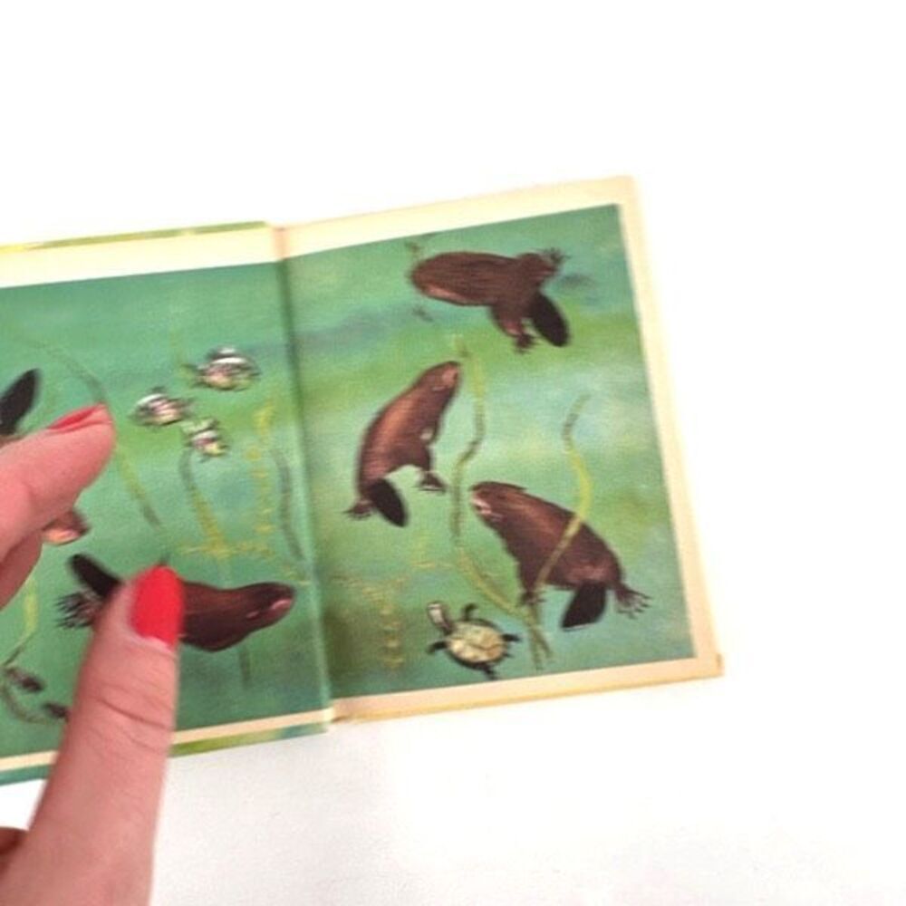 Vintage Junior Elf Book Little Beaver Nonfiction Childrens Learning Rand McNally - Picture 3 of 11